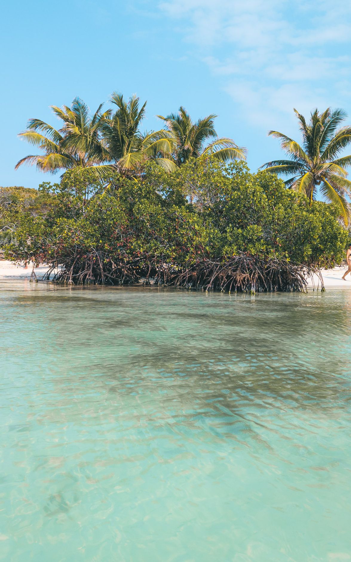 excursion isla contoy