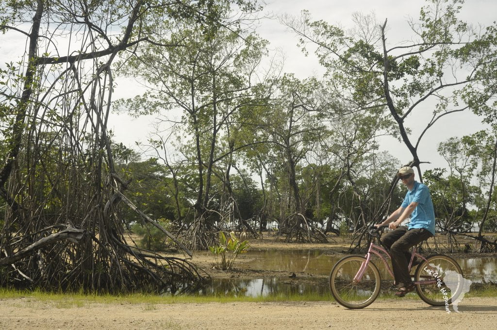 Mangrove Hopkins bélize vélo