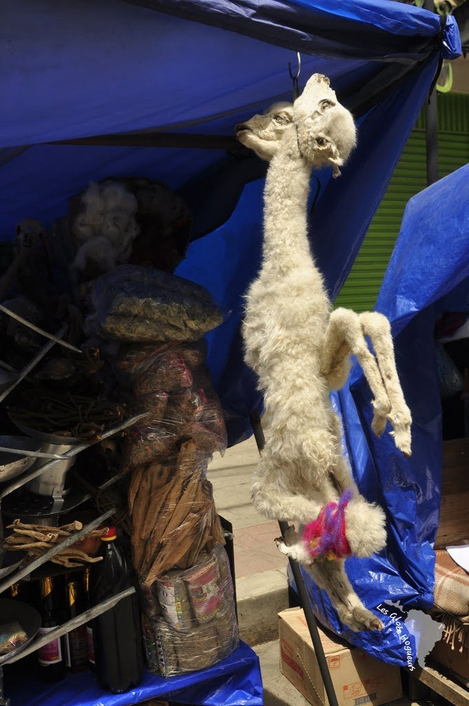 lamas séchés marché sorcières la paz