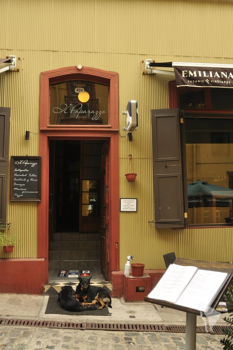 Des chiens vigiles de resto chic !