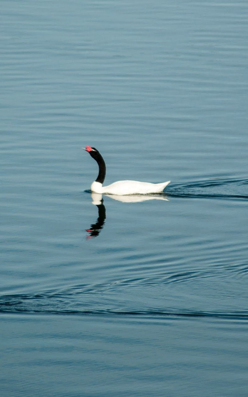 Chiloé côté nature
