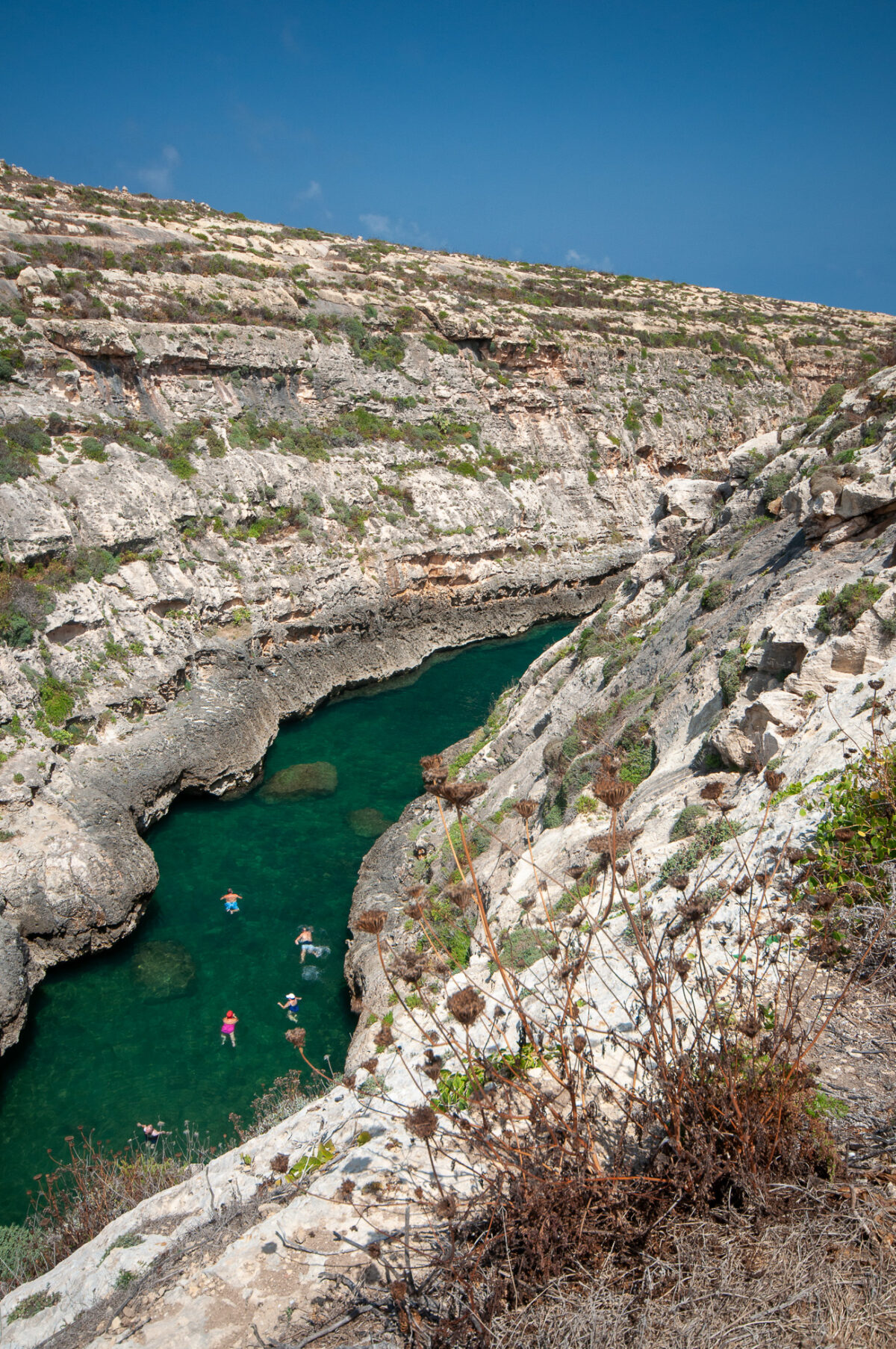 Tour de l'île de Gozo par la côte : randonnée, plongée et farniente 9 gozo 3332