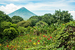volcan ometepe vegetation uai - Les globe blogueurs - blog voyage nature