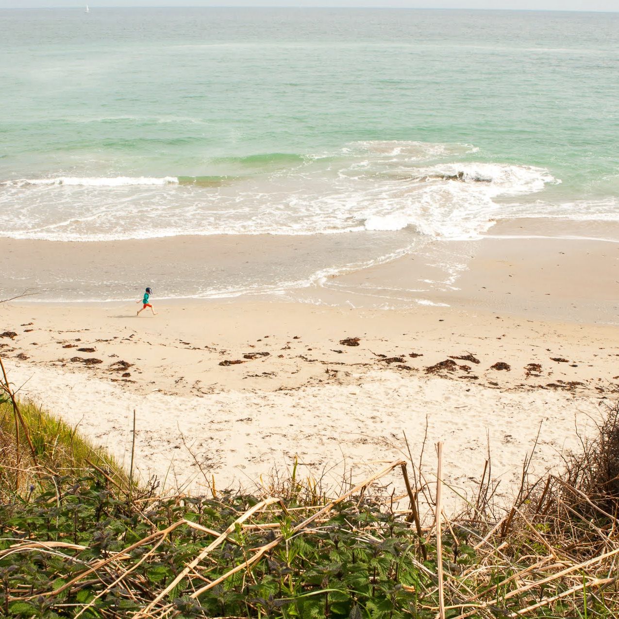dune végétale Finistère