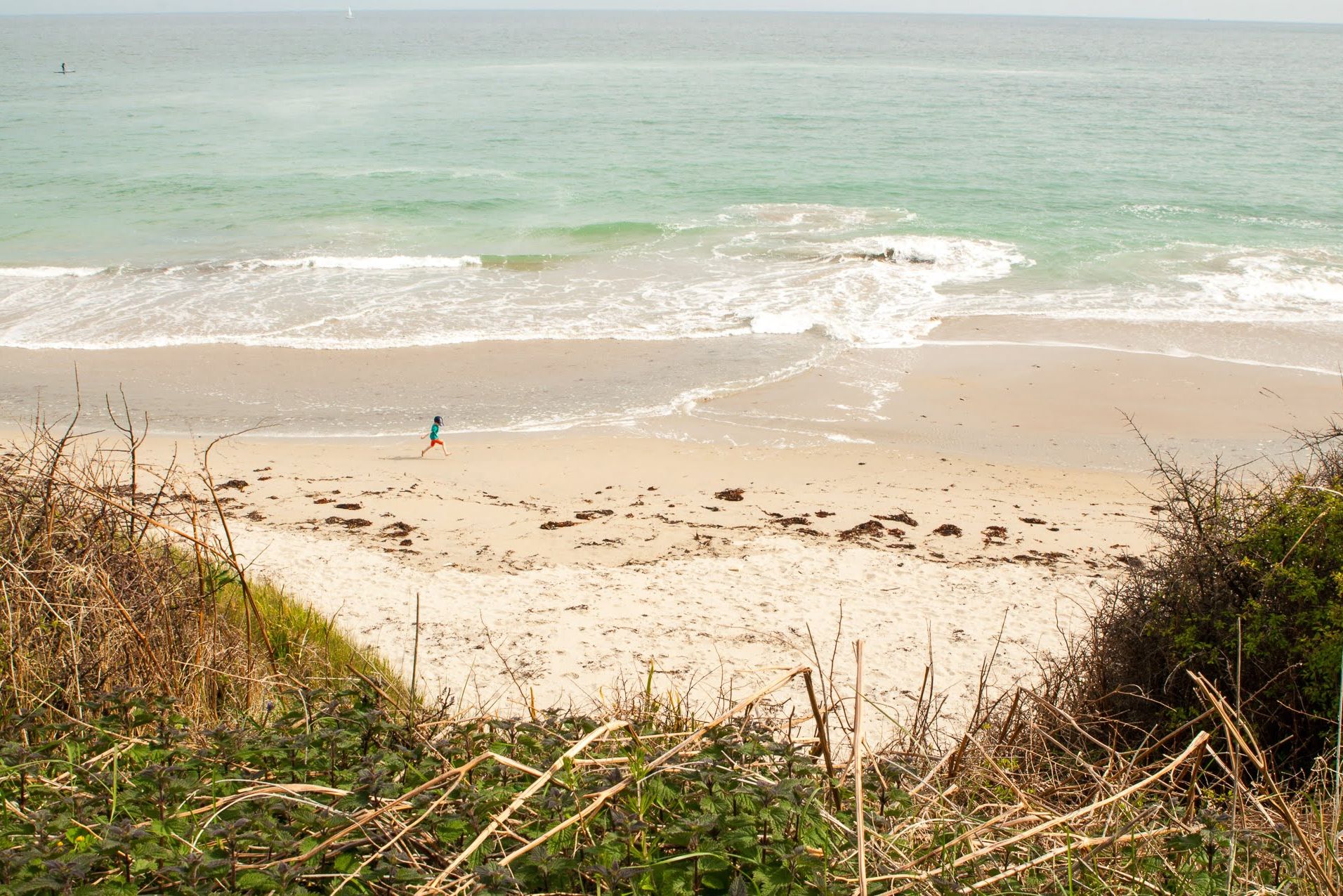 dune végétale Finistère