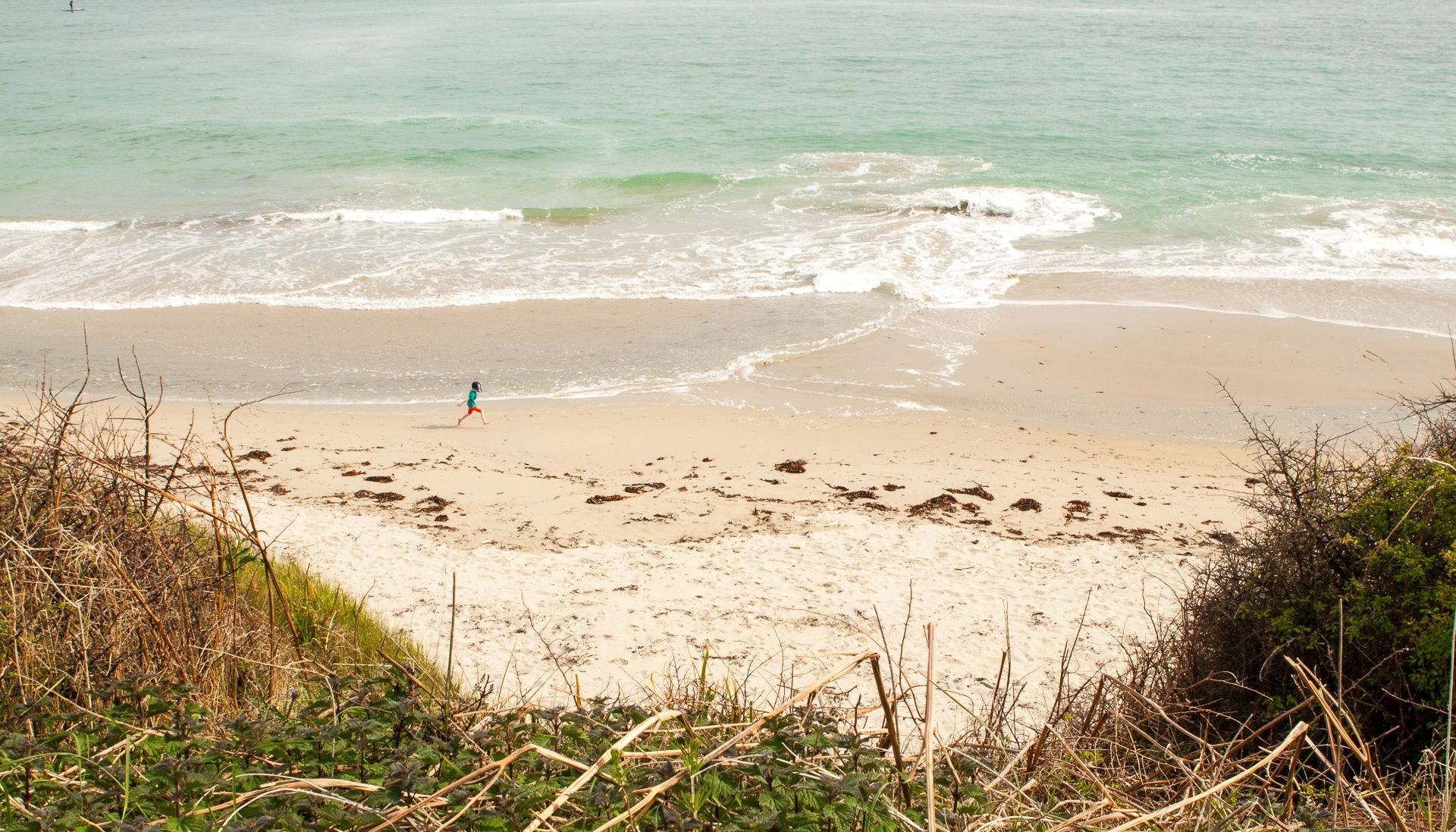 dune végétale Finistère