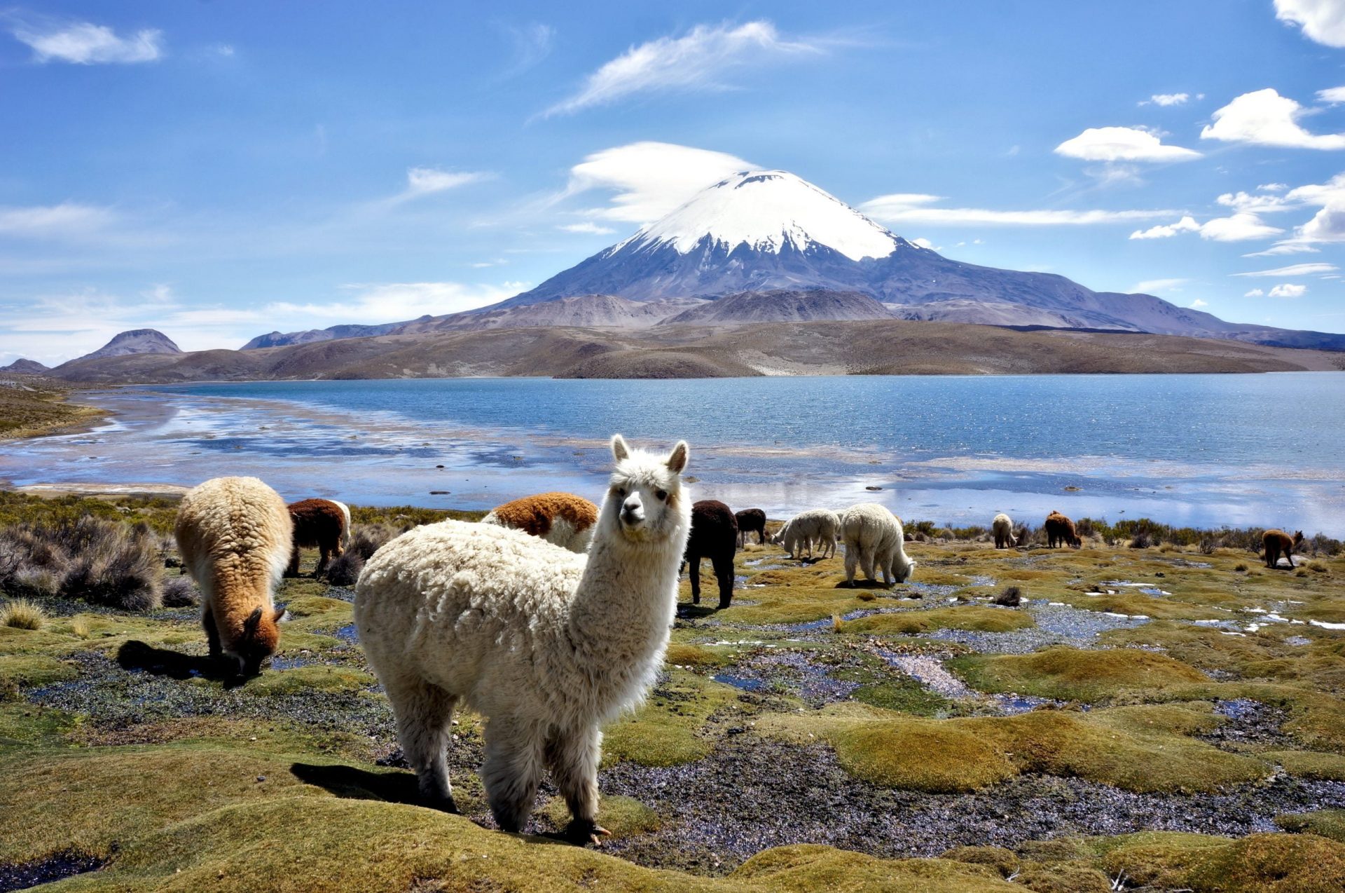 Les plus beaux paysages et parcs naturels d'Amérique du sud