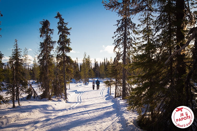 parc national de pallas en laponie finlande
