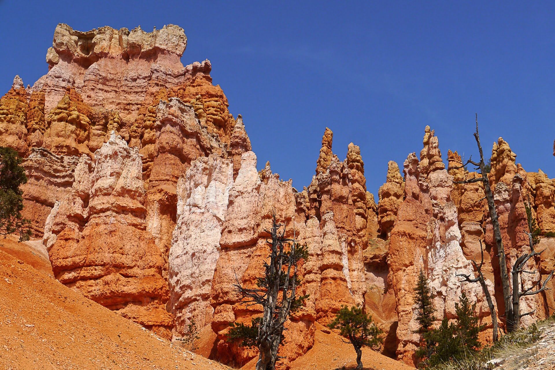 Bryce canyon Nowmadz