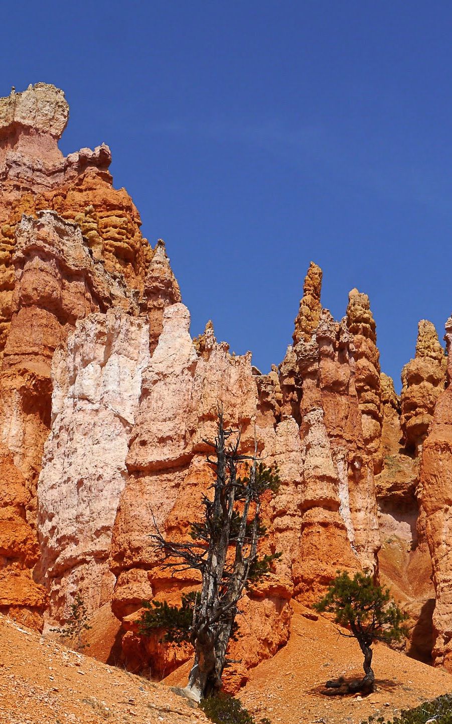 Bryce canyon Nowmadz