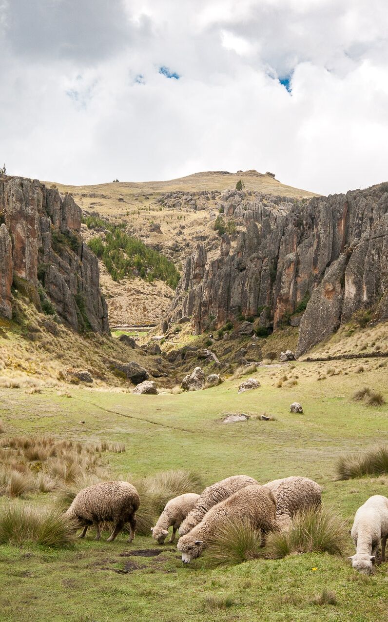 plus beaux sites archéologiques du Pérou - Cumbe Mayo