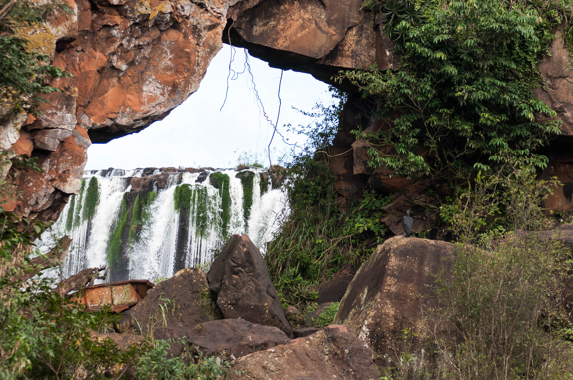 Parc national des chutes d'Iguazu