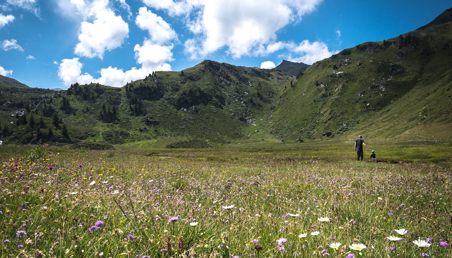 plaine fleurie vallon de réchy suisse