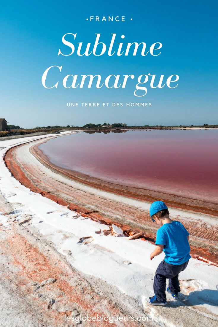 guide pratique et récit pour un voyage en camargue - France
