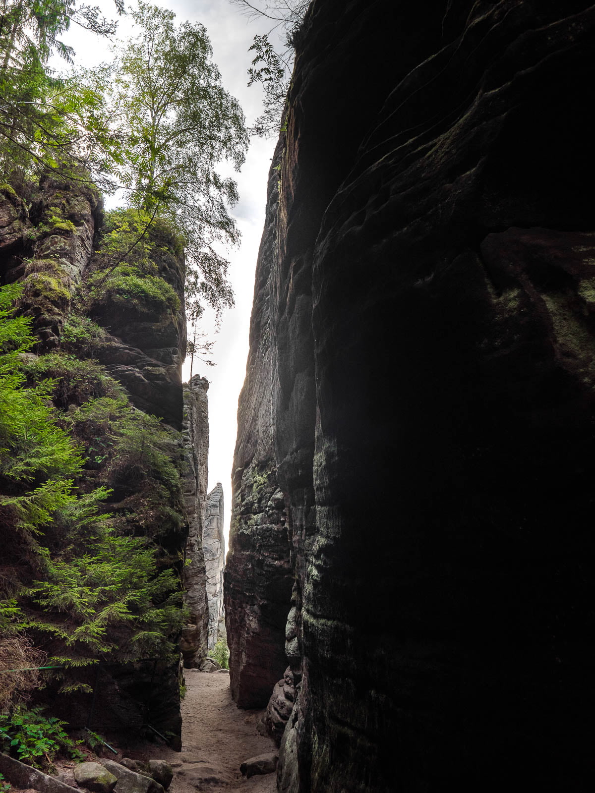 prachovske skaly dans le pradis tchèque