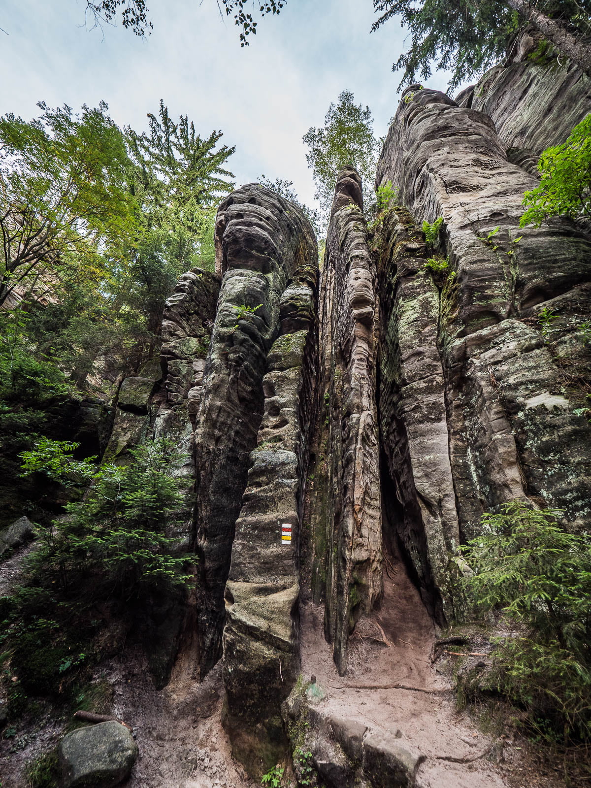 prachov rocks dans le pradis tchèque