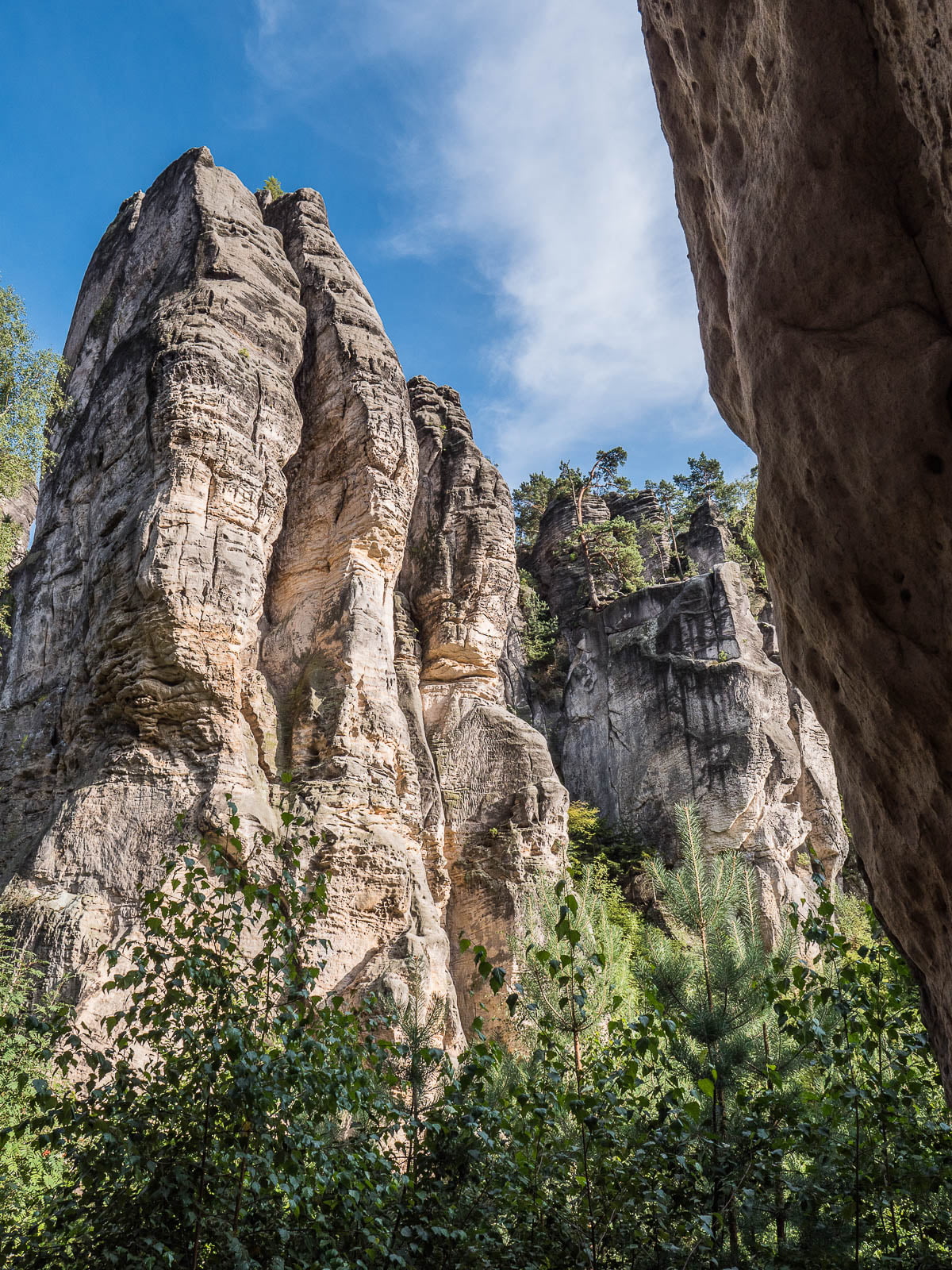 prachovske skaly dans le pradis tchèque