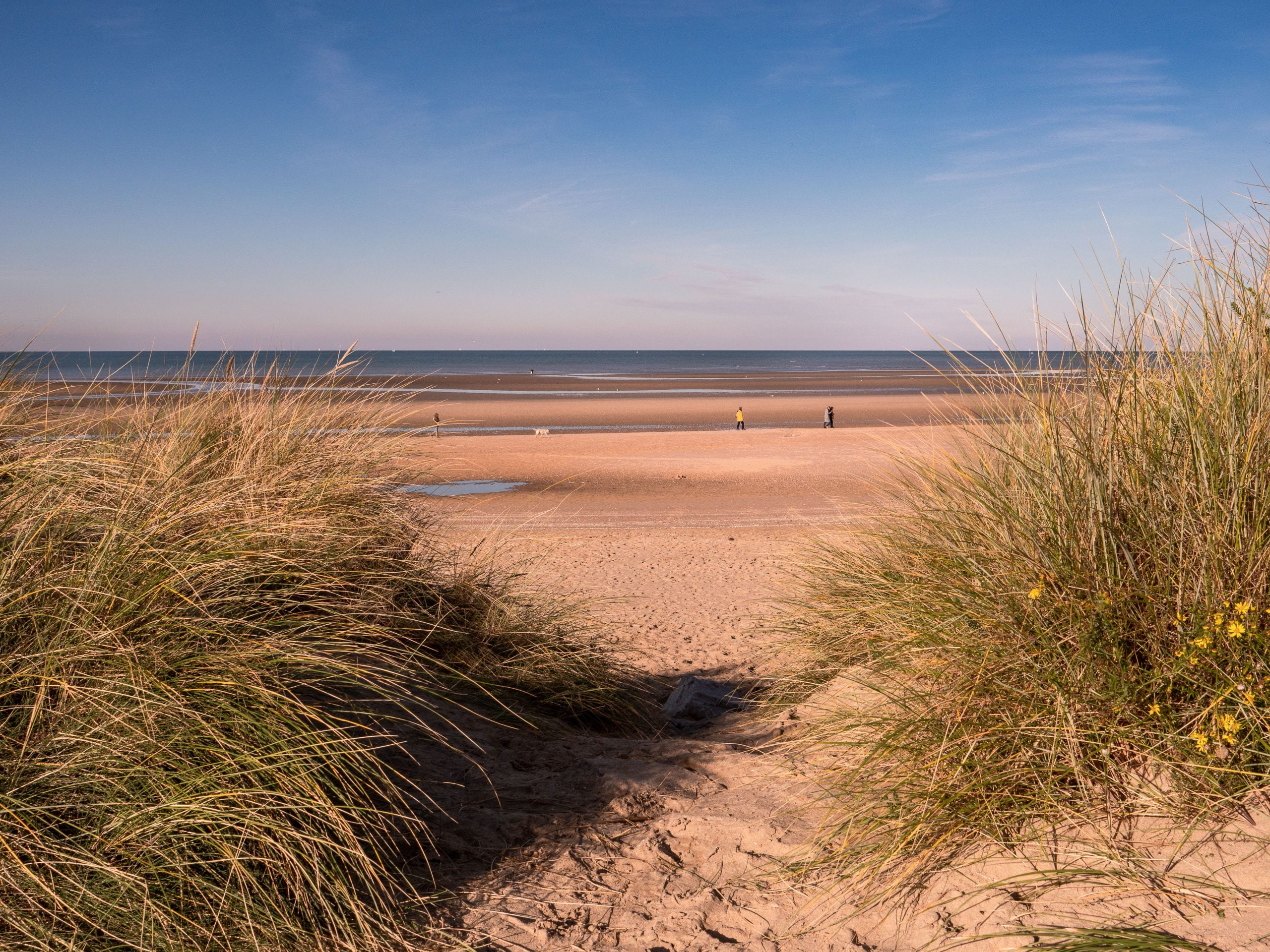 cabourg dunes scaled - Les globe blogueurs - blog voyage nature
