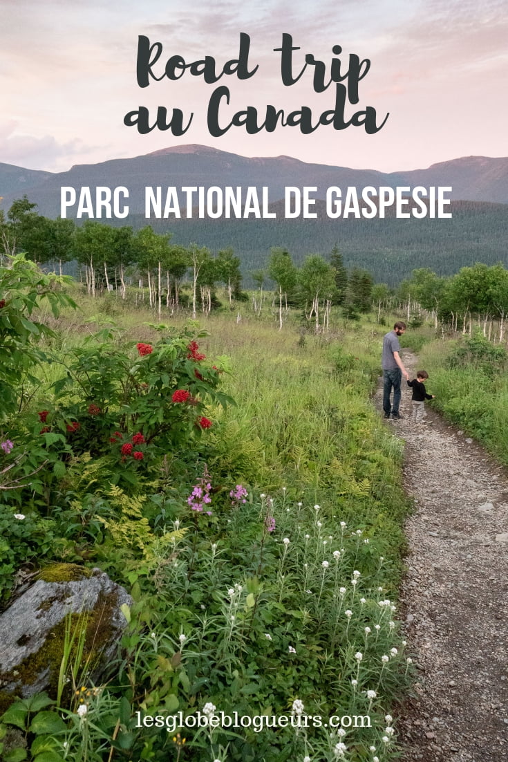 guide pratique pour organiser son séjour au parc national de Gaspésie