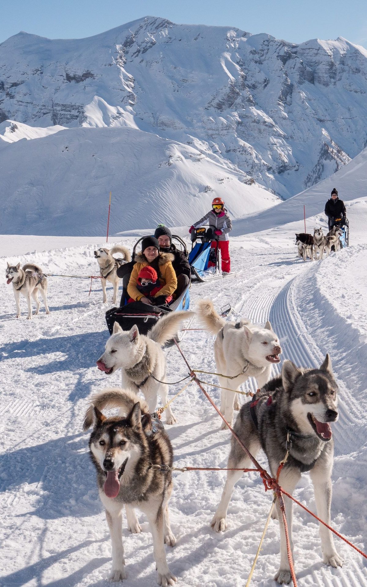 Orcières Merlette 1850 dans les Hautes Alpes - chiens de traineau