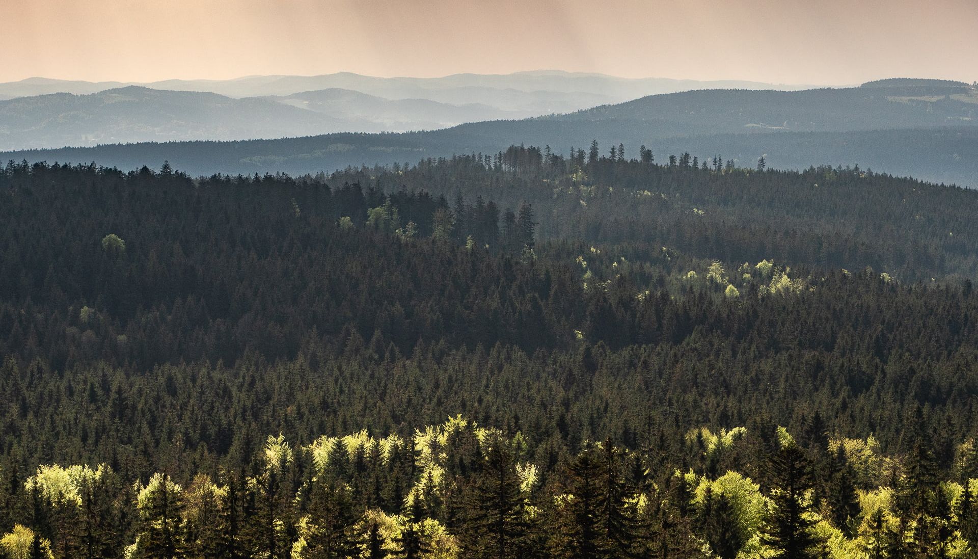 Forêt parc national de Sumava en République Tchèque, Bohême du sud