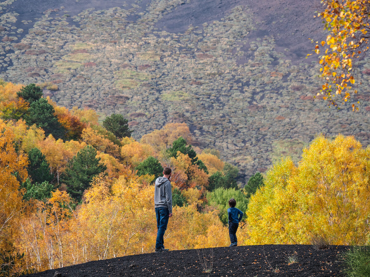 Visiter l'Etna, le sommet incroyable de la Sicile 32 Sicile etna 1011343