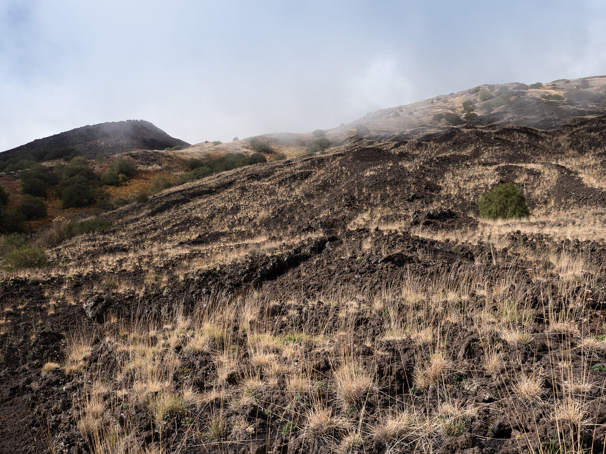 Visiter l'Etna, le sommet incroyable de la Sicile 13 Parc naturel de l'Etna