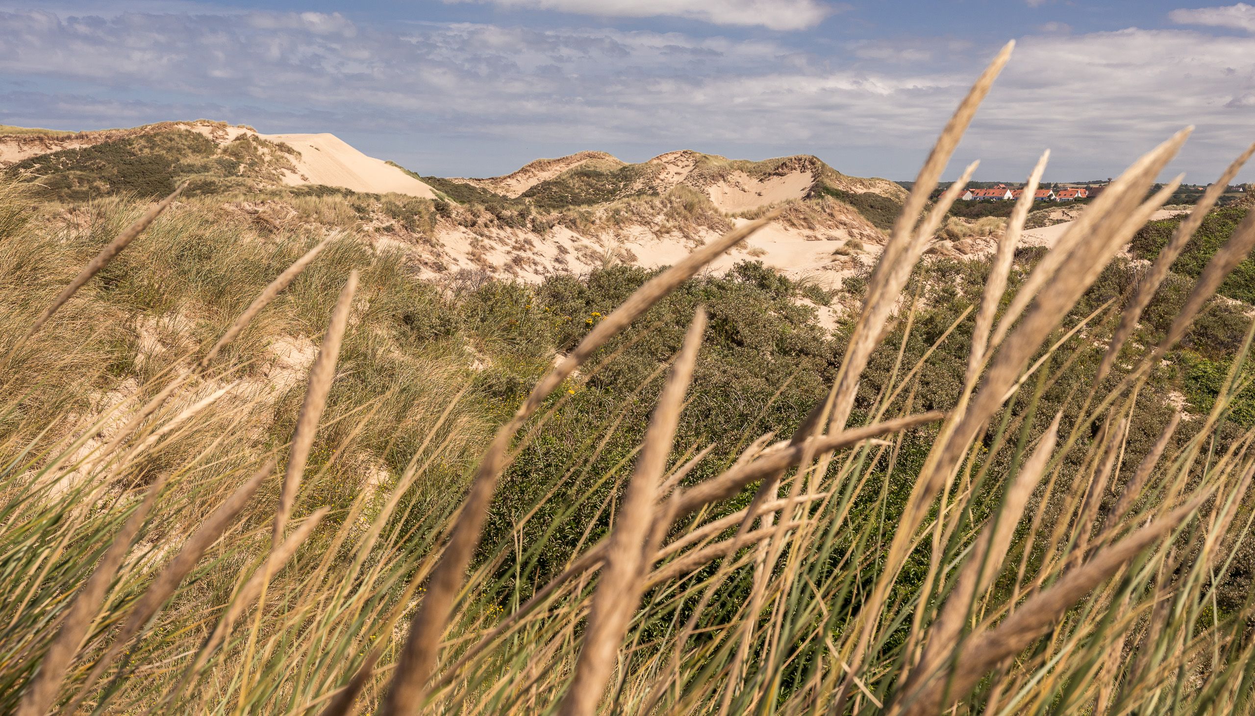 côte d'opale dunes de la slack