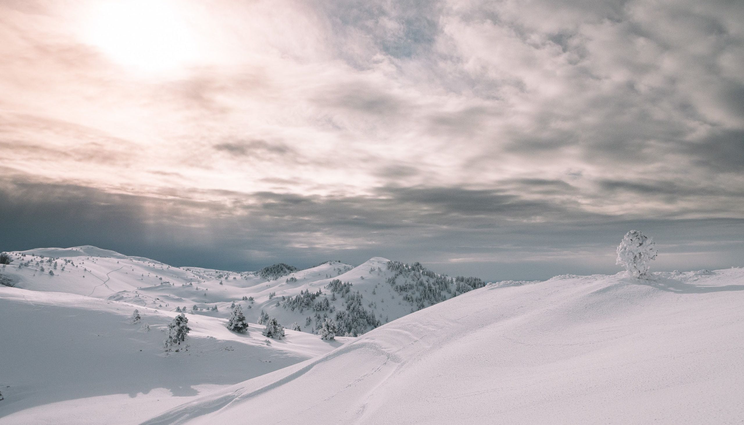 randonnée raquettes vercors