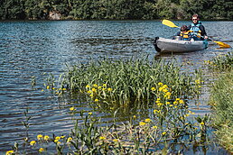 quelle activité en vendée - canoe kayak