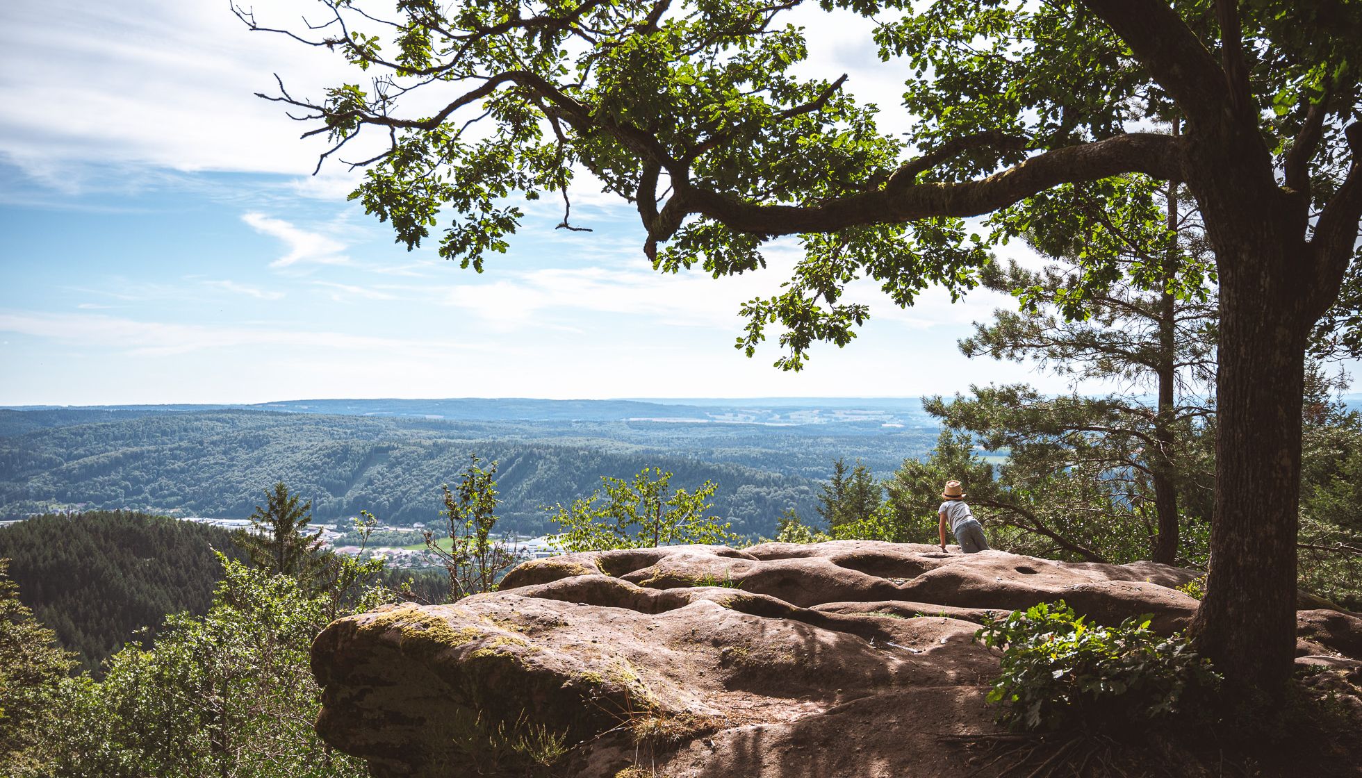 Les cuveaux Vosges