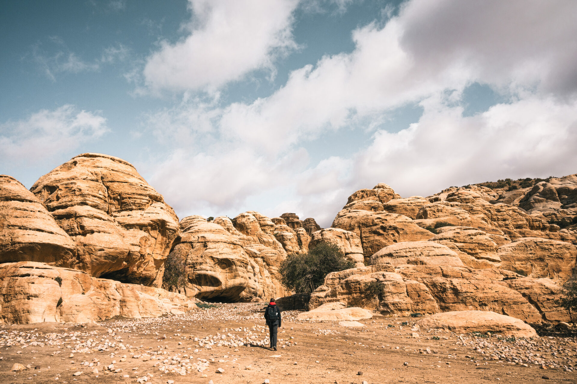 visite réserve dana jordanie