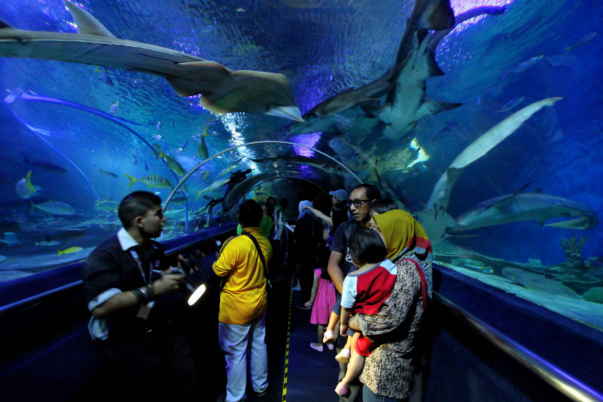 Underwater tunnel in Aquaria KLCC - Les globe blogueurs - blog voyage nature