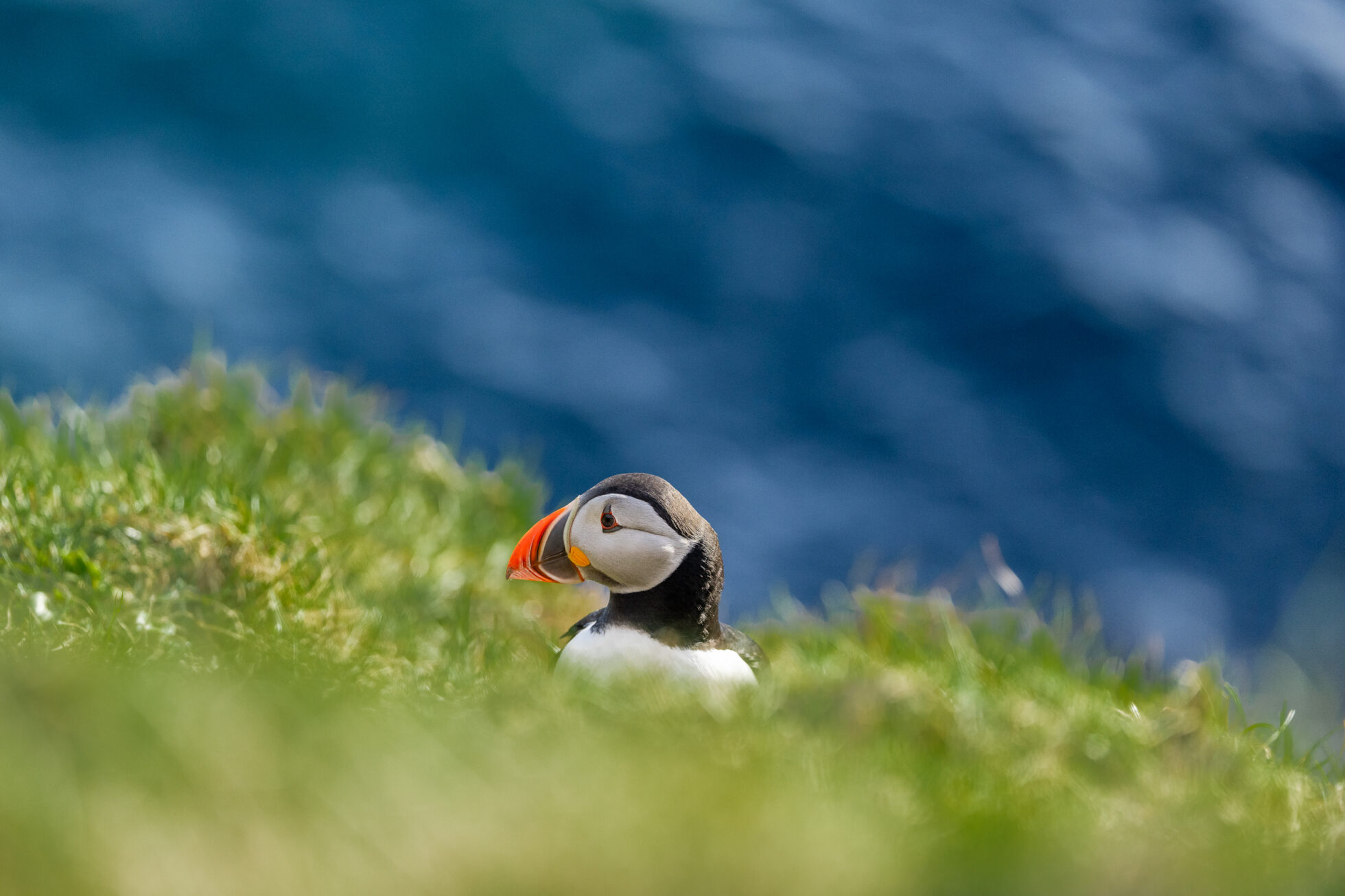que faire cote sud islande