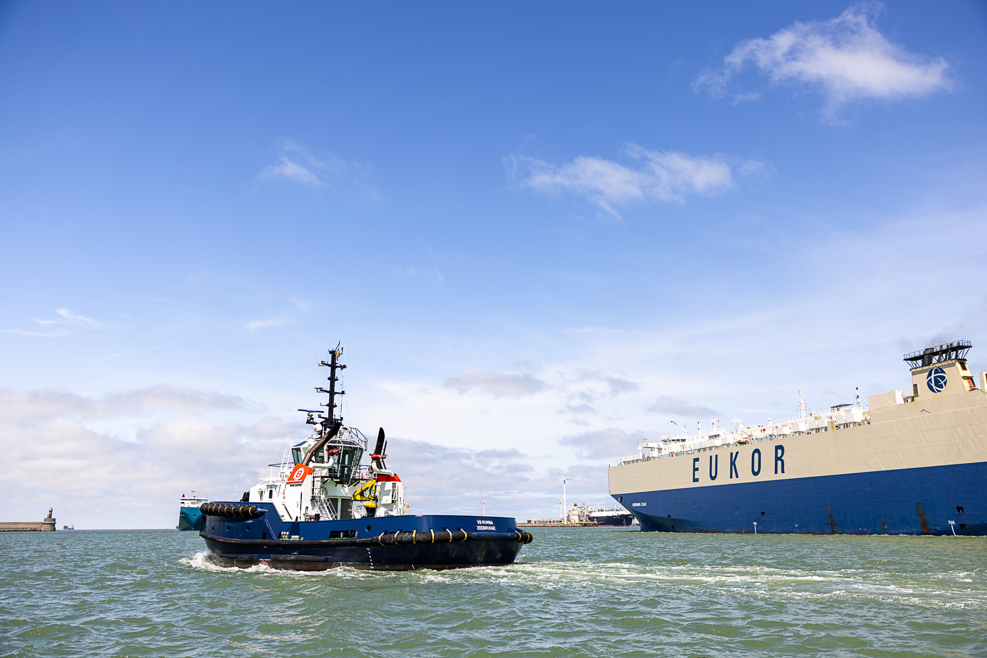 zeebruges 6333 - Les globe blogueurs - blog voyage nature
