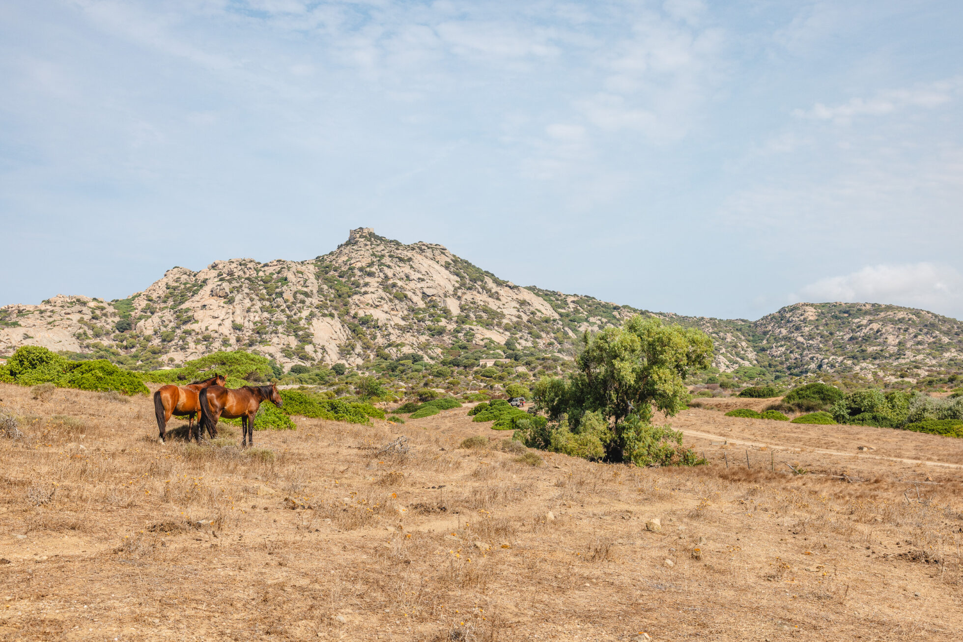 Visite du parc national de l'Asinara en Sardaigne, entre terre et mer 22 ou dormir asinara