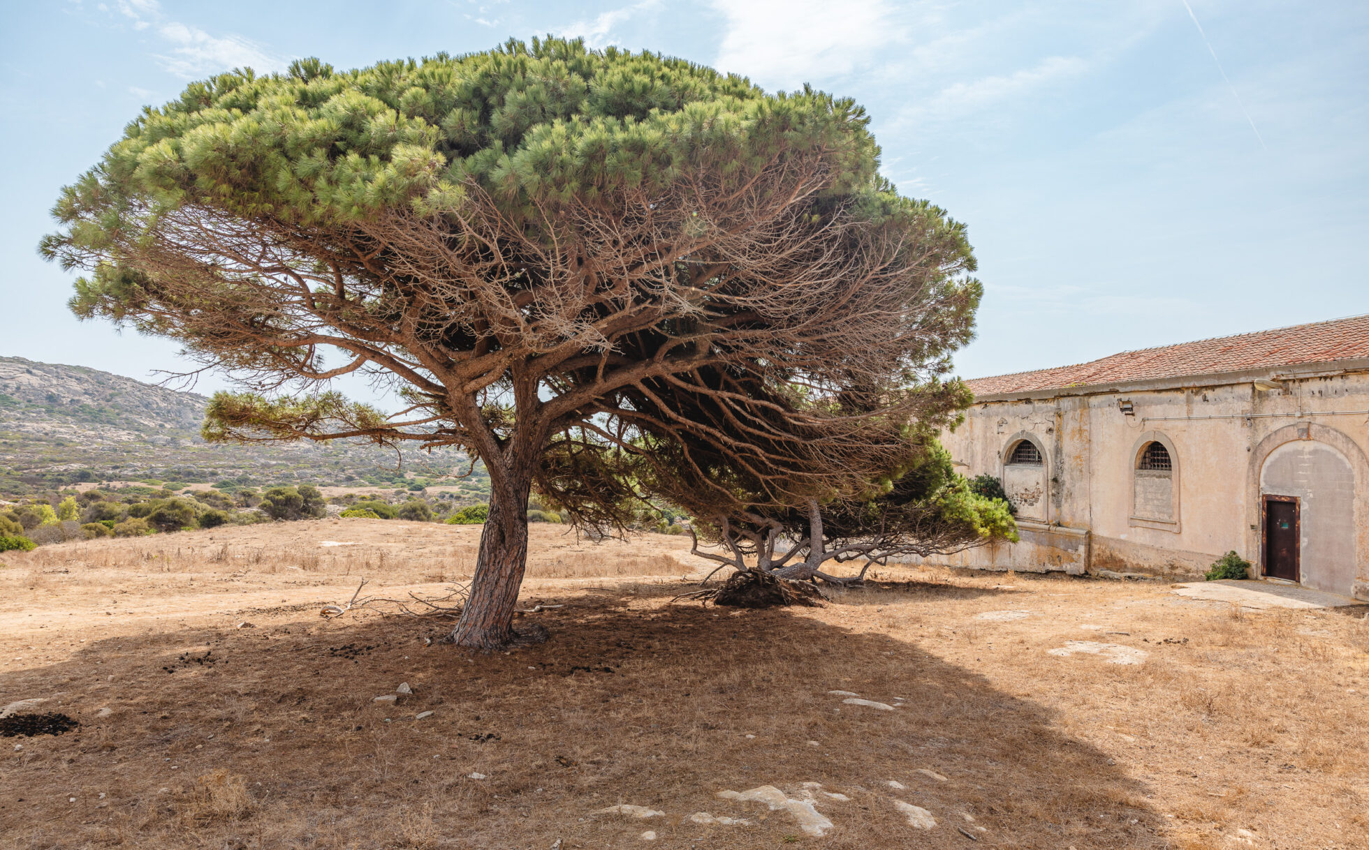 Visite du parc national de l'Asinara en Sardaigne, entre terre et mer 3 que faire ile asinara