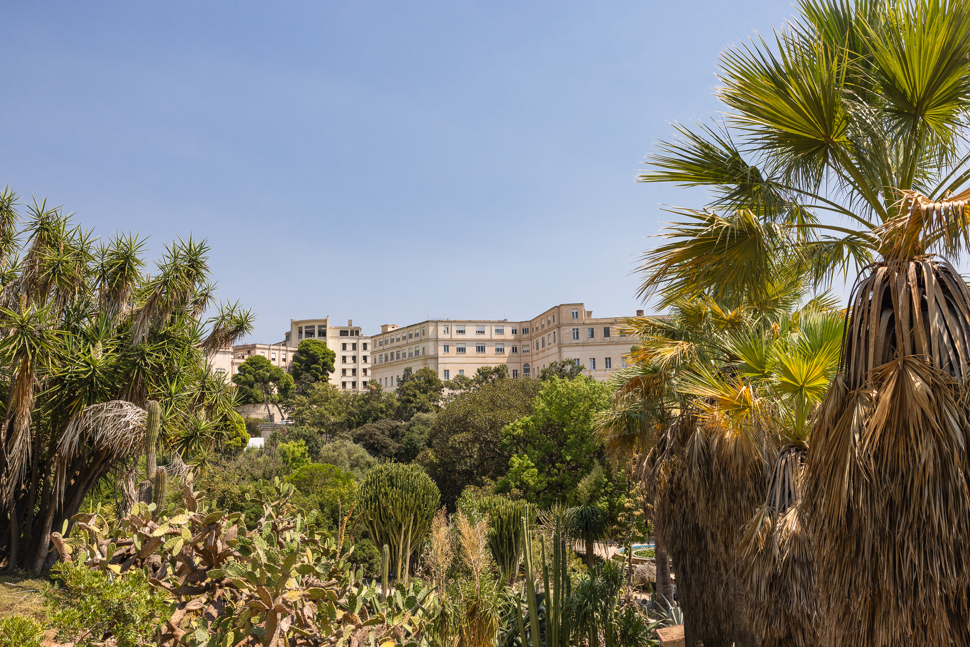 Visiter Cagliari et le sud de la Sardaigne, notre retour d'expérience 18 que faire cagliari jardin botanique