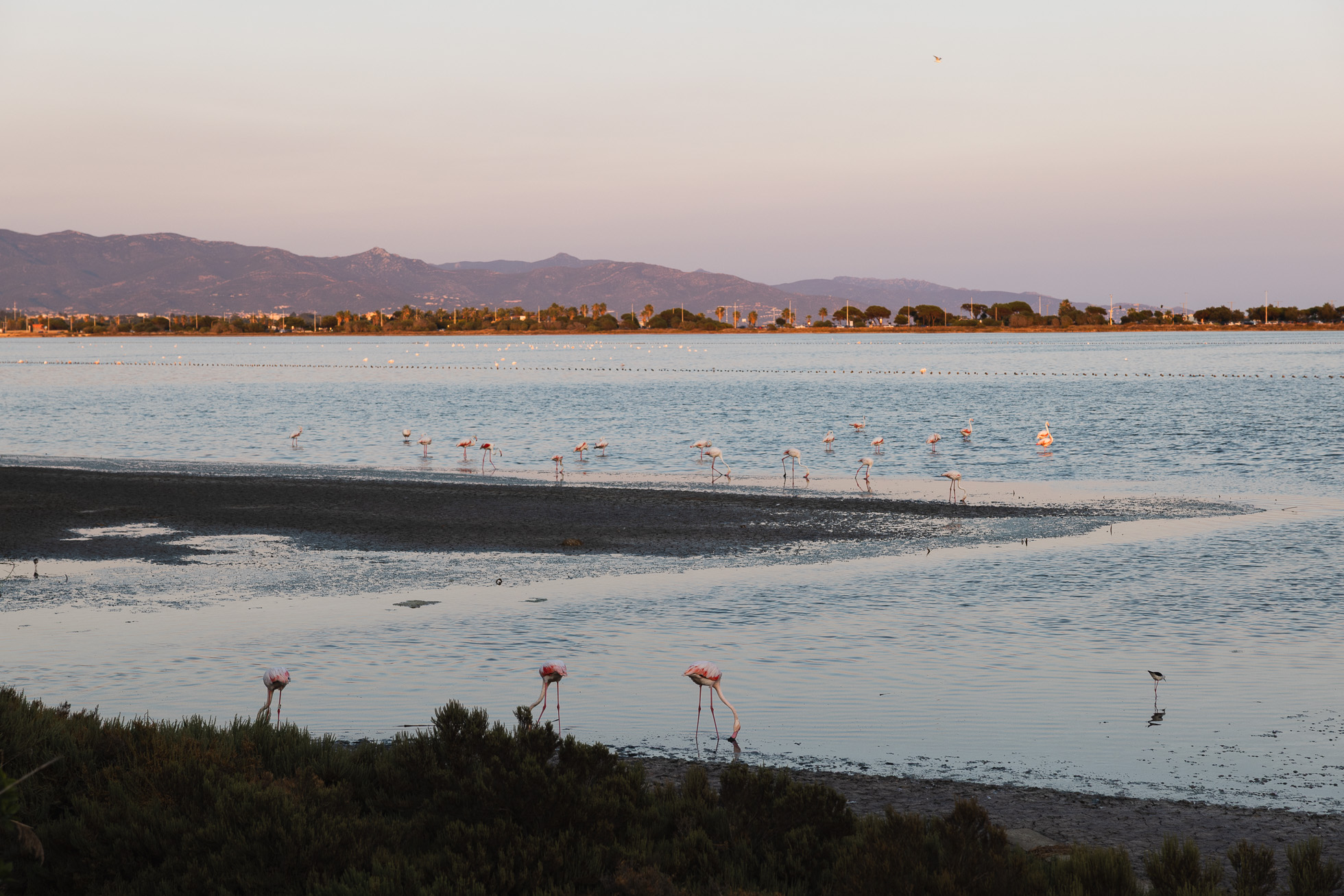 Visiter Cagliari et le sud de la Sardaigne, notre retour d'expérience 48 que faire autour de cagliari