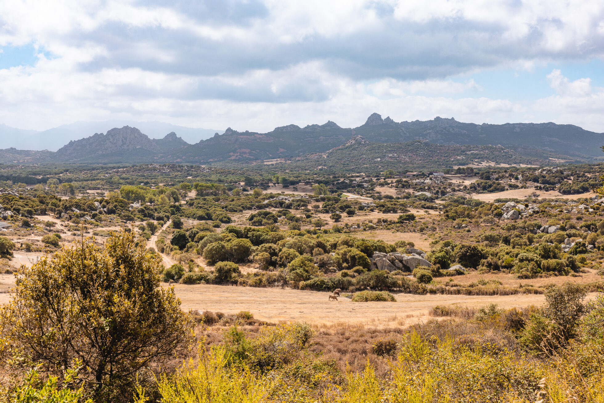 Visiter la Sardaigne : notre guide complet 1 sardaigne 6431 - Les globe blogueurs - blog voyage nature