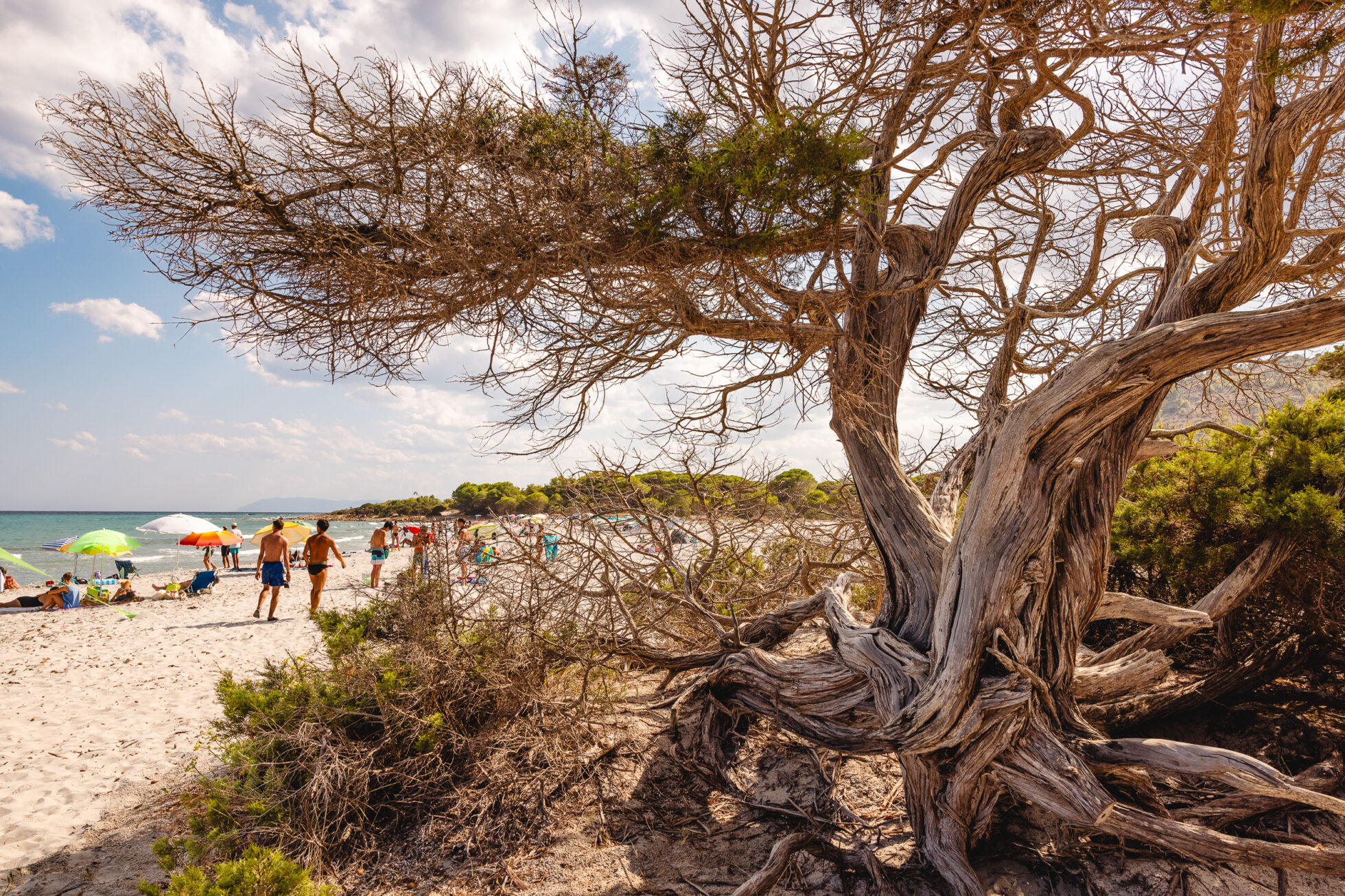 Visiter la Sardaigne : notre guide complet 43 Que faire en Sardaigne ? les plus belles plages