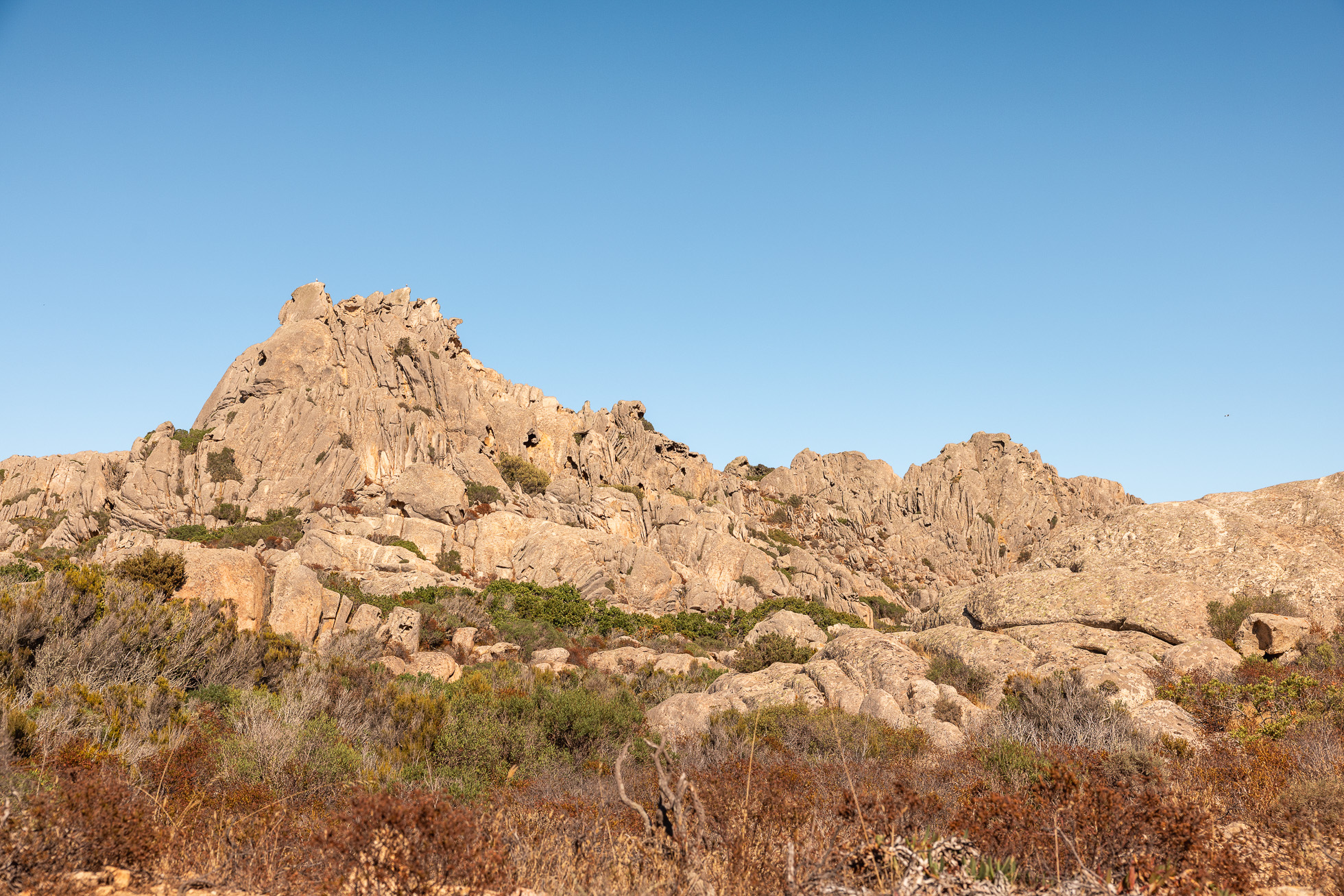 S'évader dans l'archipel Maddalena en Sardaigne 21 que faire ile caprera