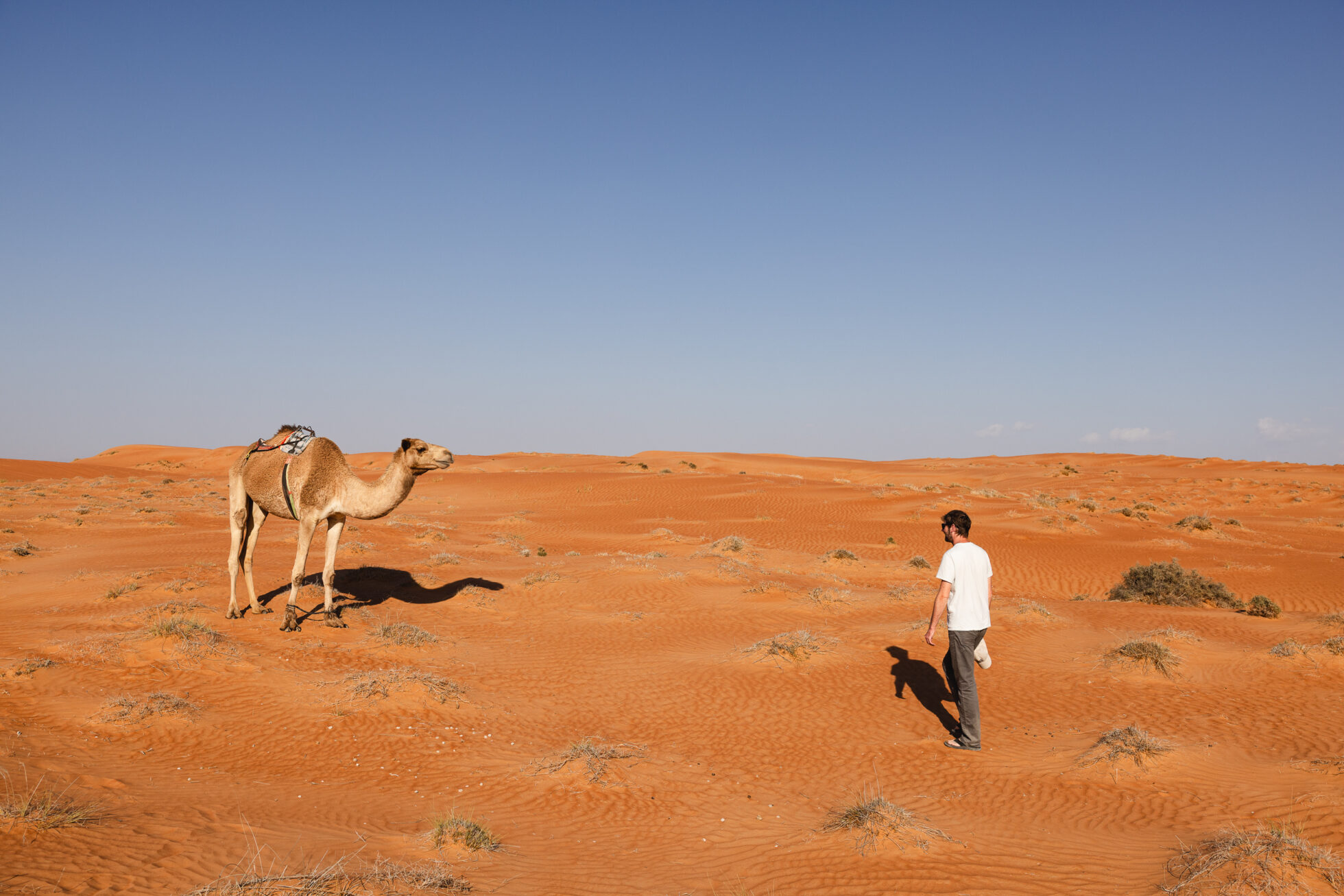 Découvrir le désert du Wahiba sands à Oman 5 excursion wahiba sands oman