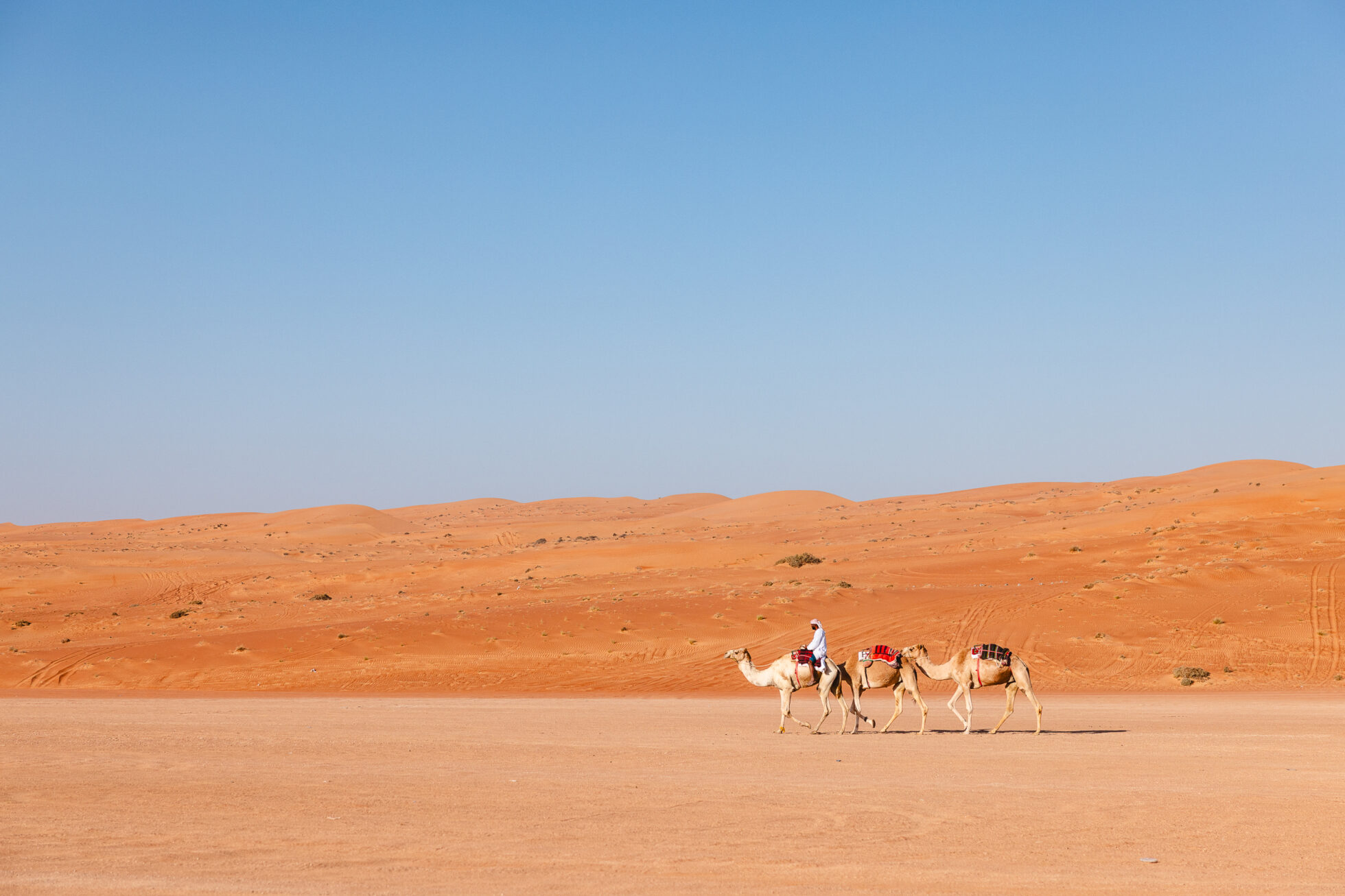 Découvrir le désert du Wahiba sands à Oman 15 excursion désert wahiba sands oman
