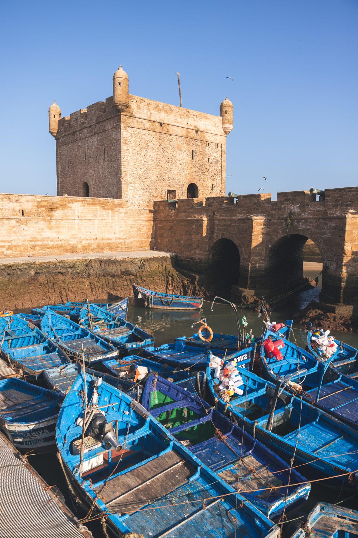 excursion Essaouira depuis marrakech