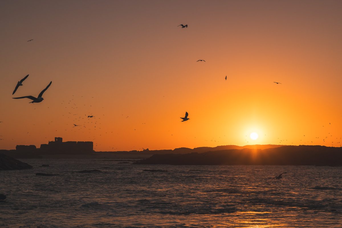 Que faire au Maroc ? Nos idées d'itinéraires et road trips 37 visiter le maroc