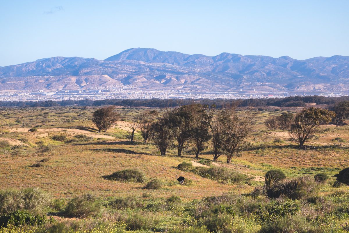 excursion agadir maroc