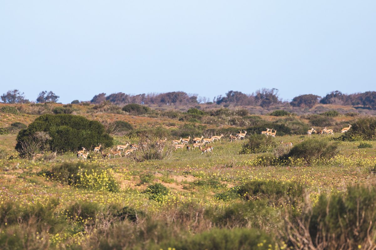 que visiter autour agadir