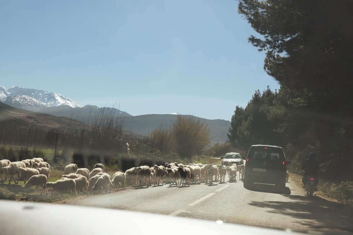 astuce location voiture maroc