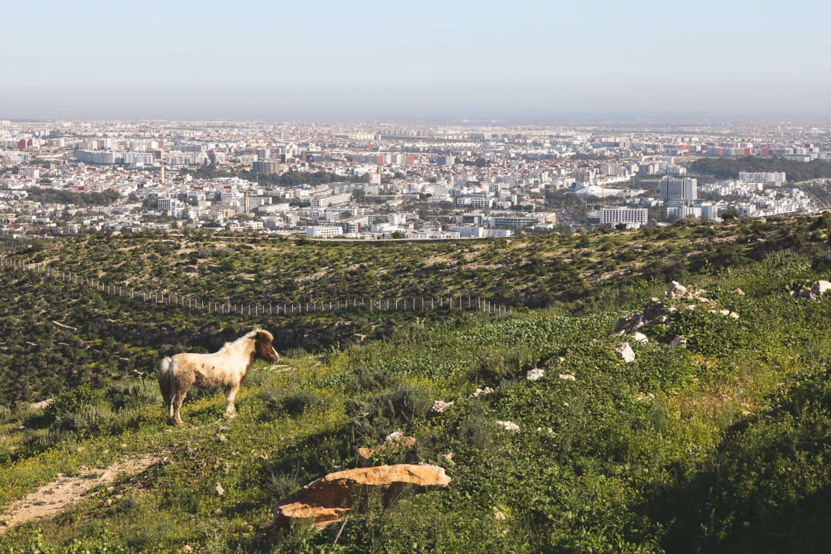 que faire à agadir 3 jours